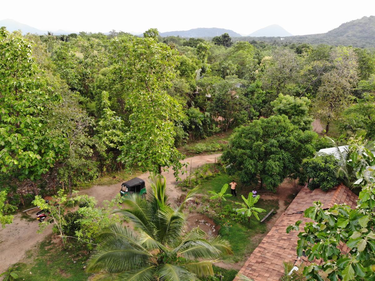 Araliya Self Cooking Resort Dambulla Esterno foto