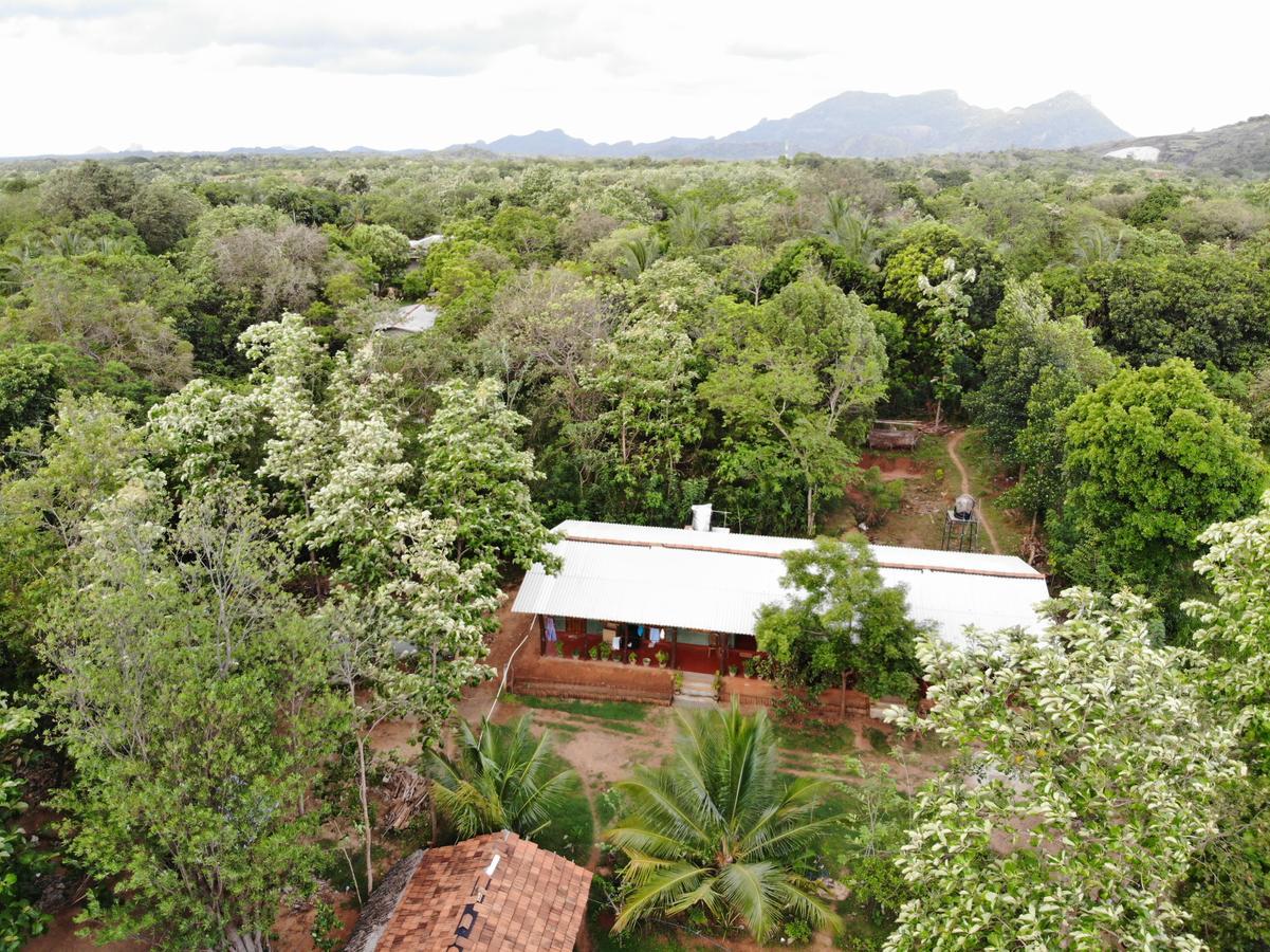 Araliya Self Cooking Resort Dambulla Esterno foto