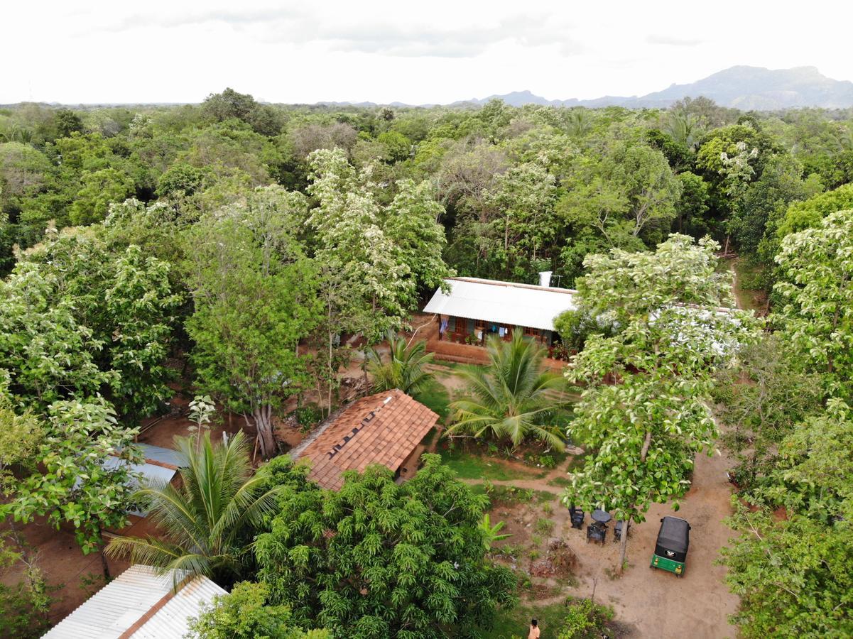 Araliya Self Cooking Resort Dambulla Esterno foto